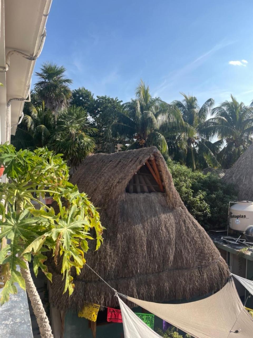 Barco Verde Hostel Isla Holbox Exterior photo